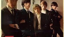 them在线观看,跟随them在线观看，开启心灵之旅